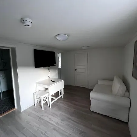 1 Rom Leilighet Apartment *